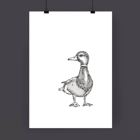 Ducky Art Print