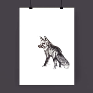 Foxy Fox Art Print