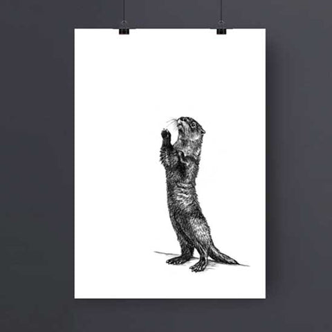 Inquisitive Otter Art Print